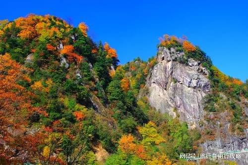 大概多少开销旅游出行带走这篇j9国际第一